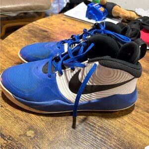Nike Blue and White Basketball Youth Sneakers
